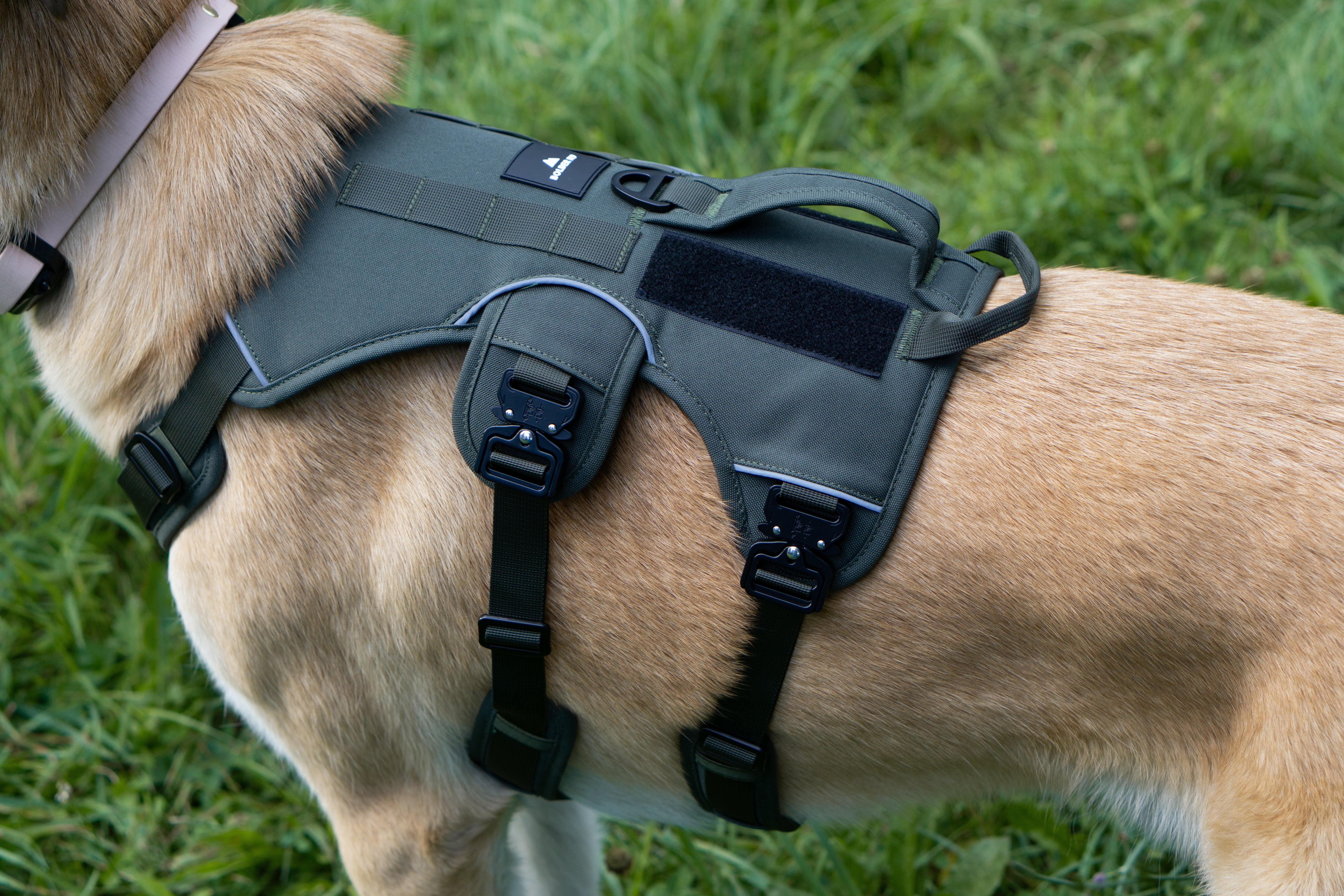 Outlander Adjustable Dog Harness - Rugged and Adventurous