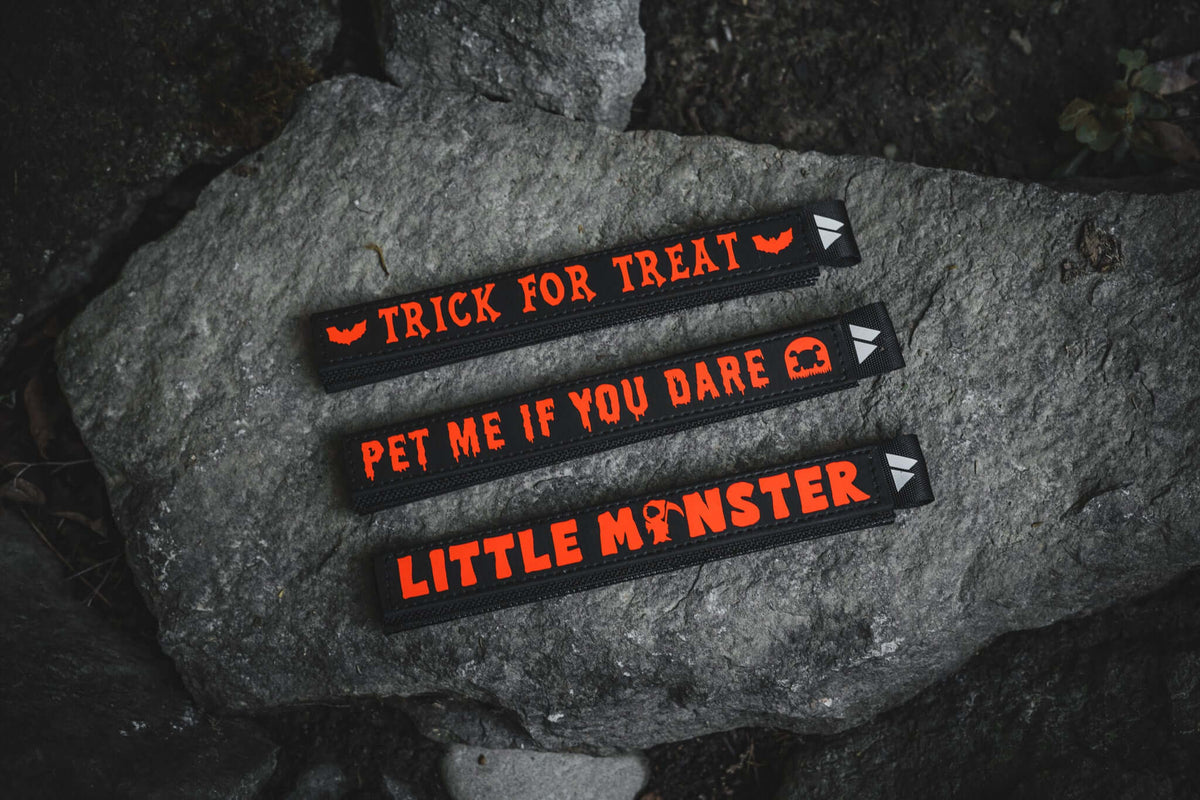 Halloween Leash Wrap