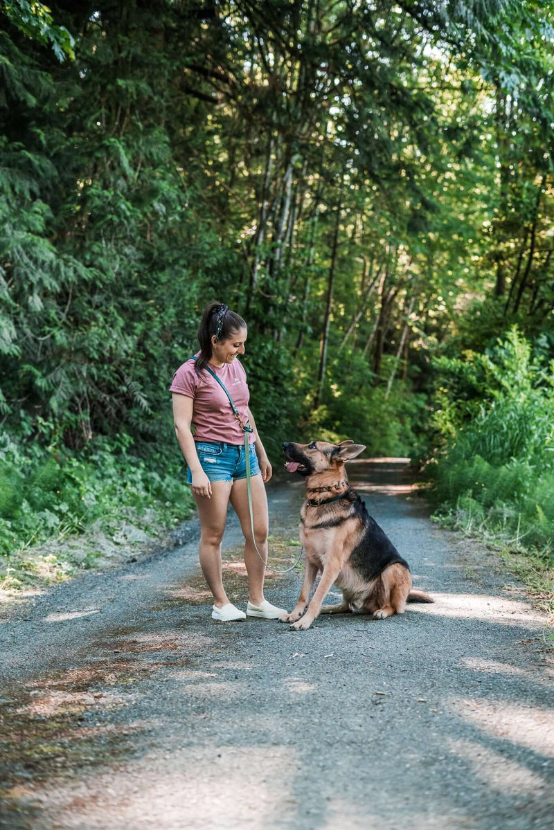 Recommended Bolder K9 dog gear