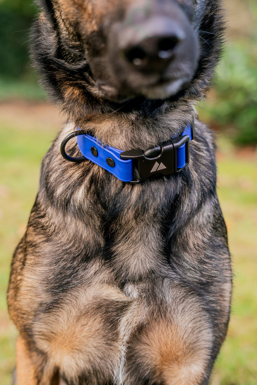 Bolder K9 new puppy gear product recommendation