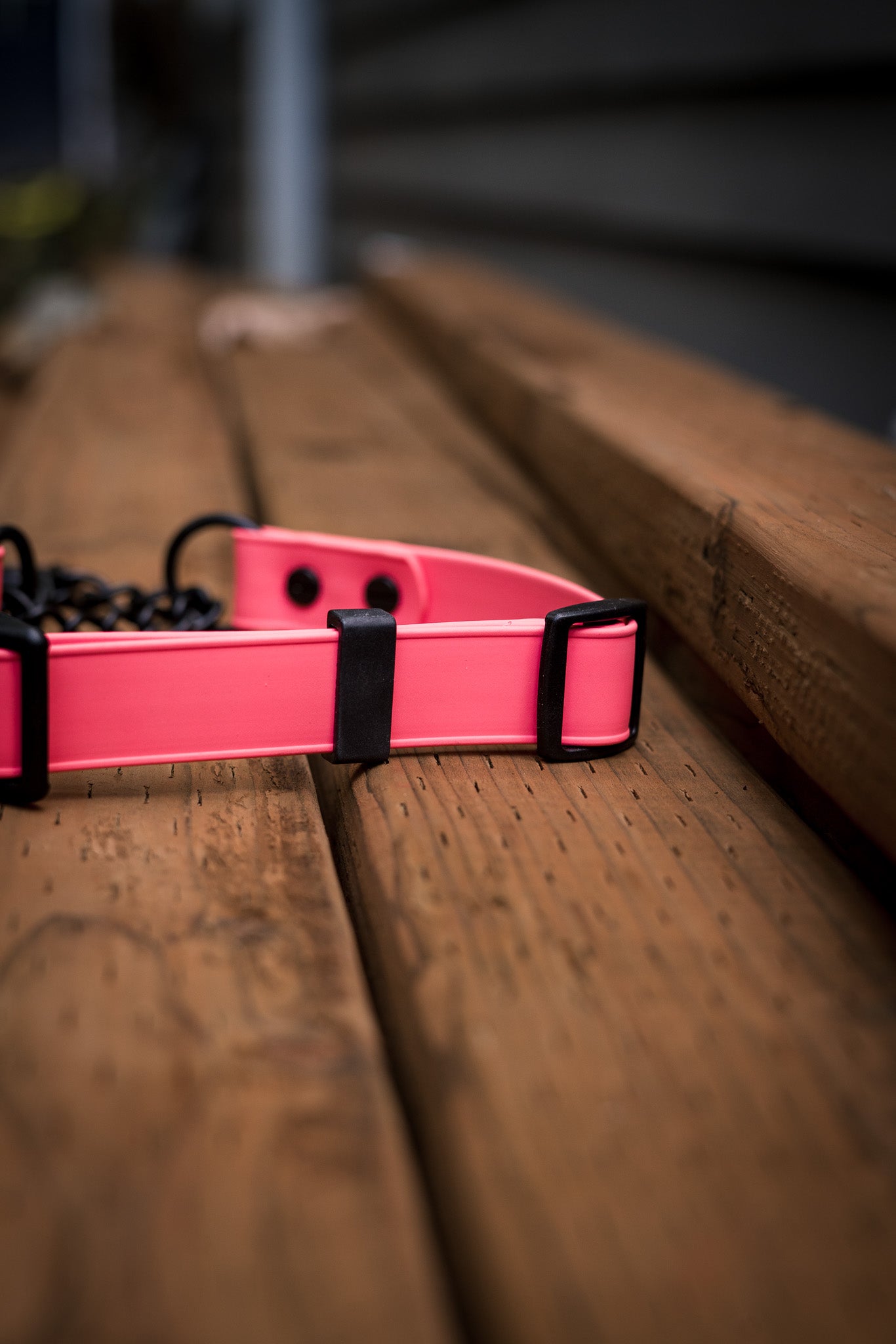 ECO 1" Adjustable BioThane Martingale collar in bright pink resting on a wooden surface.