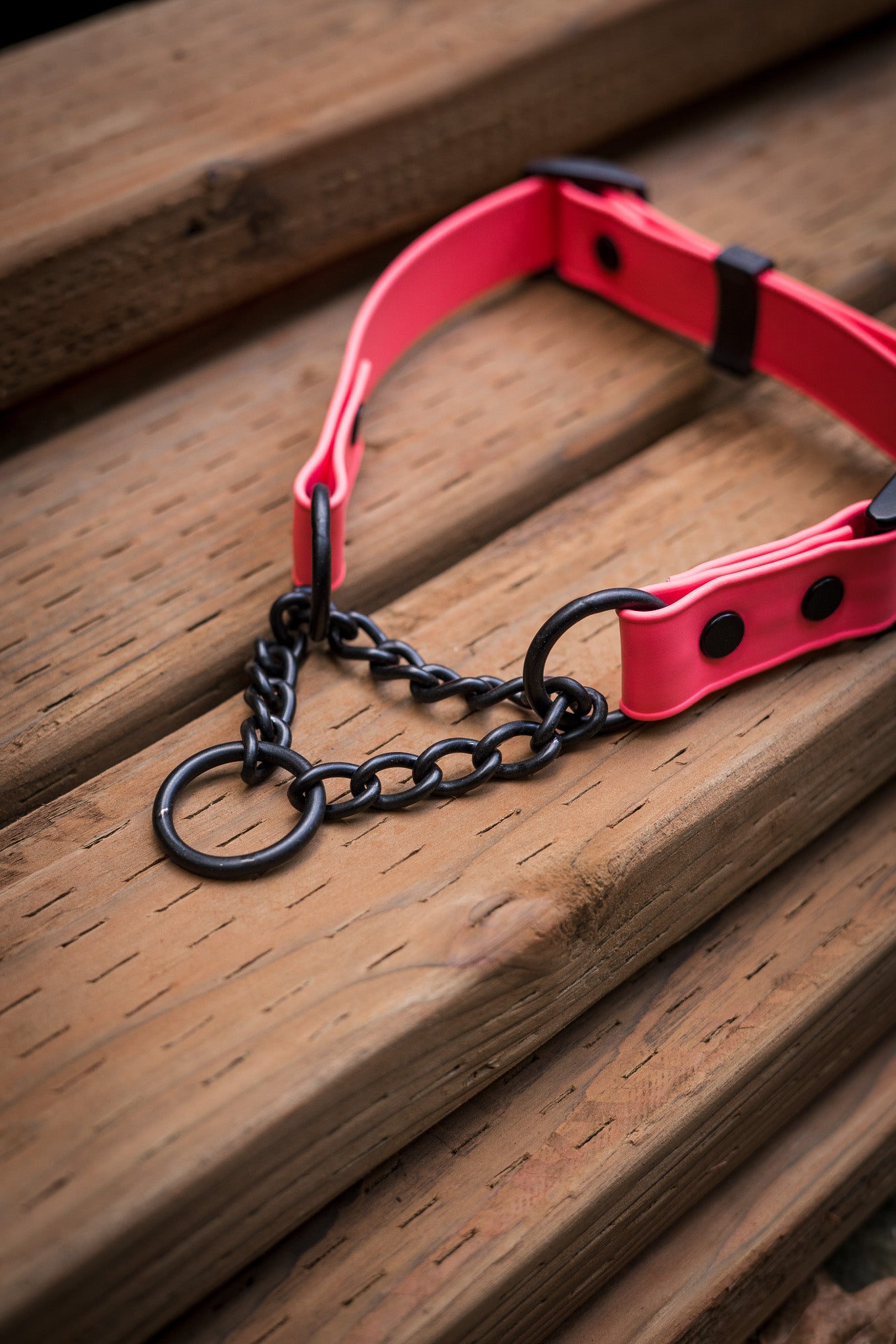 ECO 1" Adjustable BioThane Martingale on wooden surface showcasing sleek design and chain.