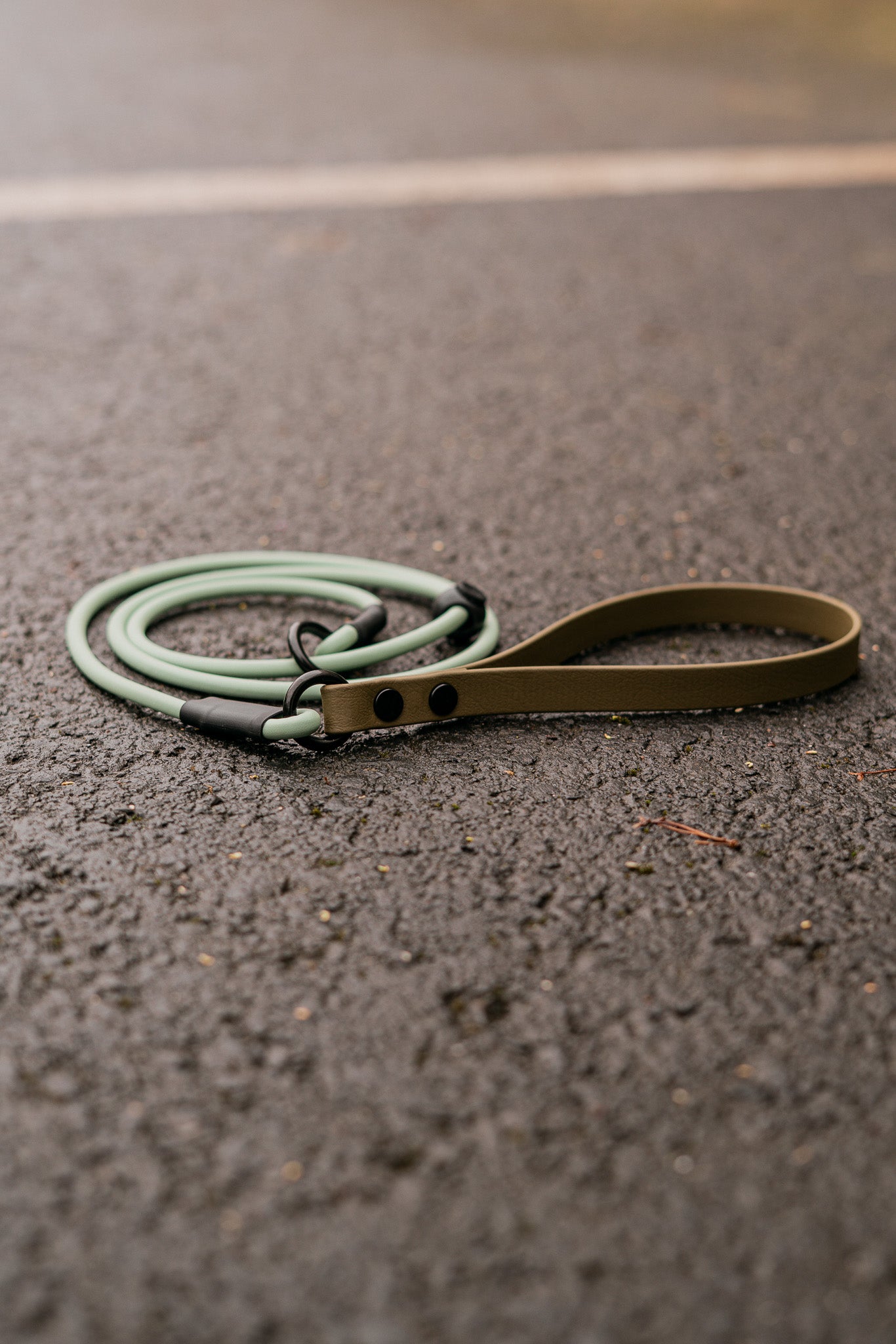 Hybrid Handle BioThane® Rope Slip Lead on asphalt, featuring a comfortable two-tone design with a durable handle.