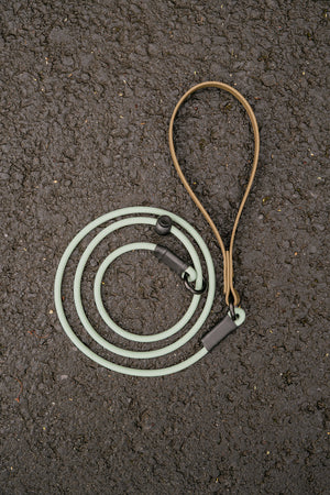 Hybrid Handle BioThane® Rope Slip Lead in mint green and brown on a textured surface.