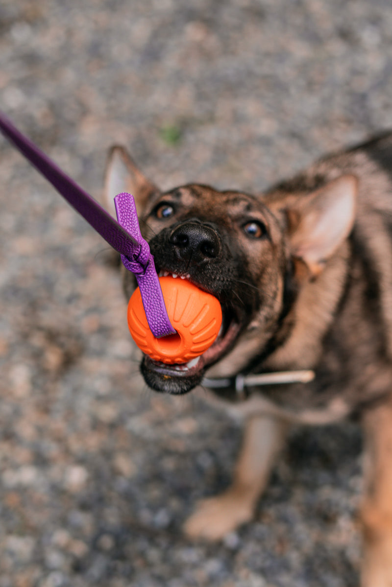 TUG TOYS