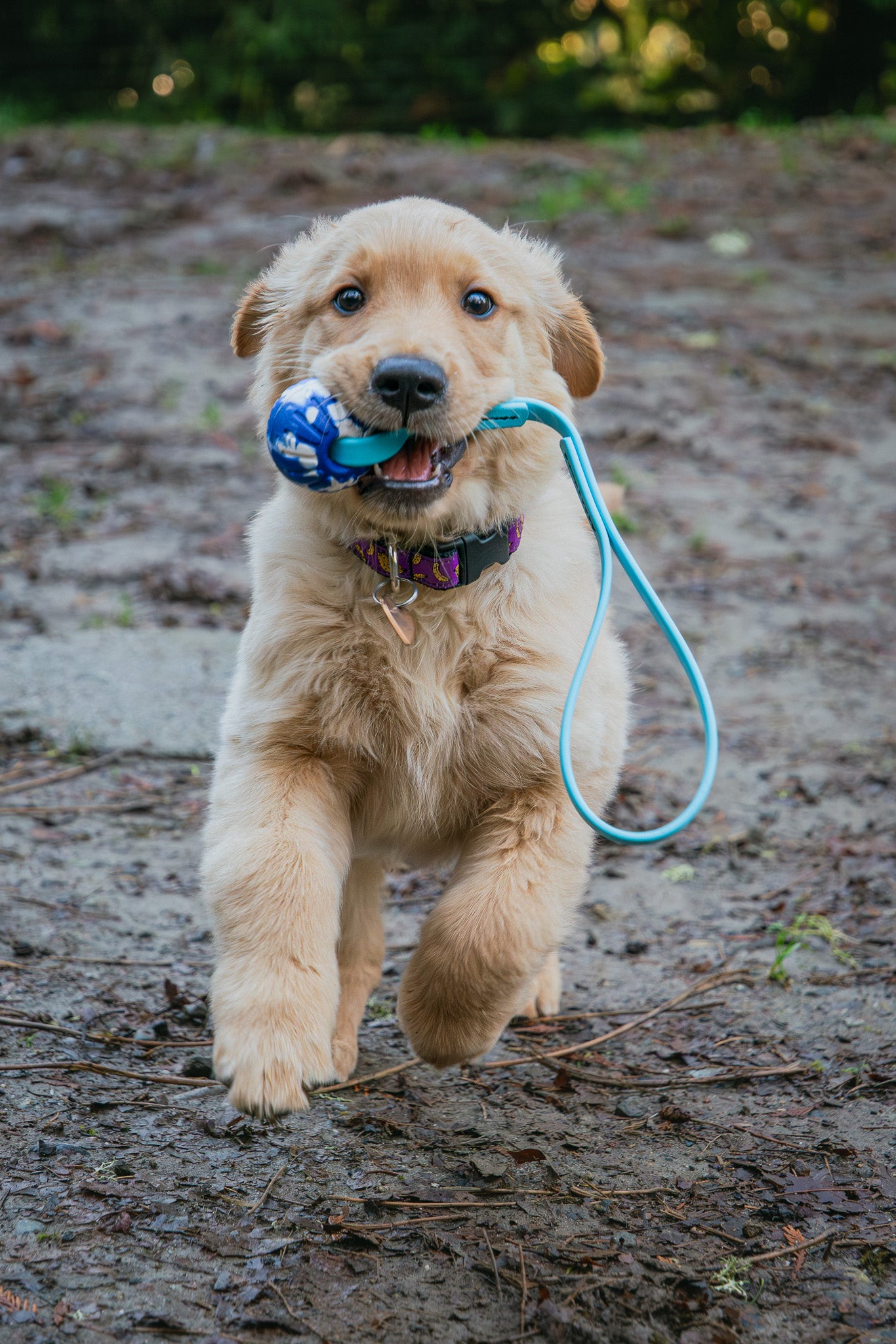 Tiny But Mighty BioThane® Tug Toy