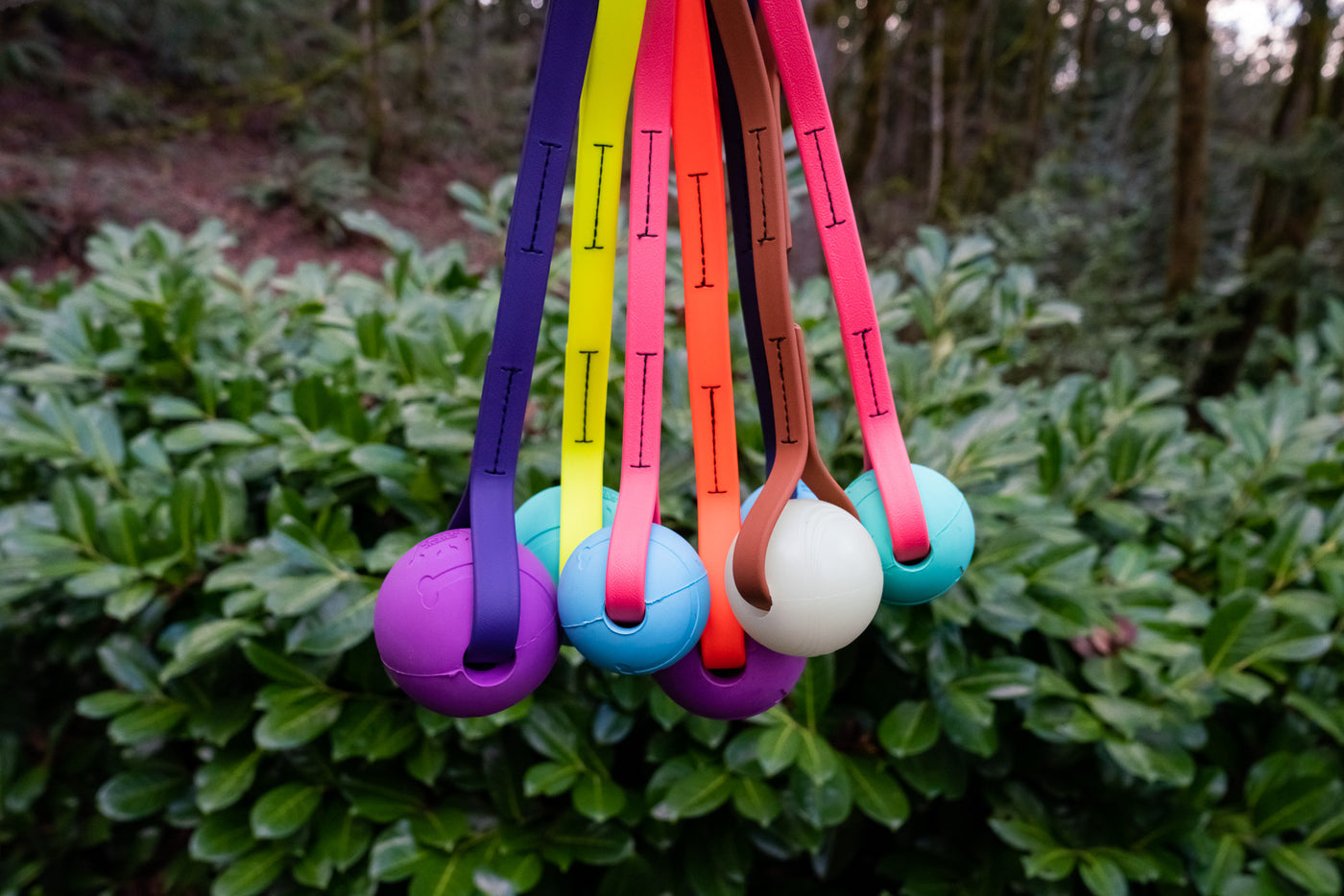 Dog training tug toy used as a reward during play