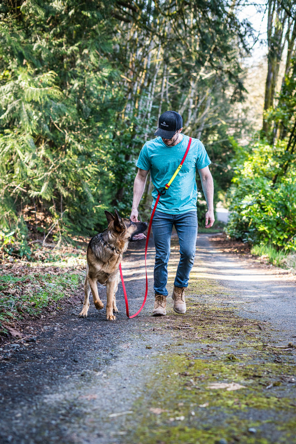 bolder k9 crossbody biothane dog leash