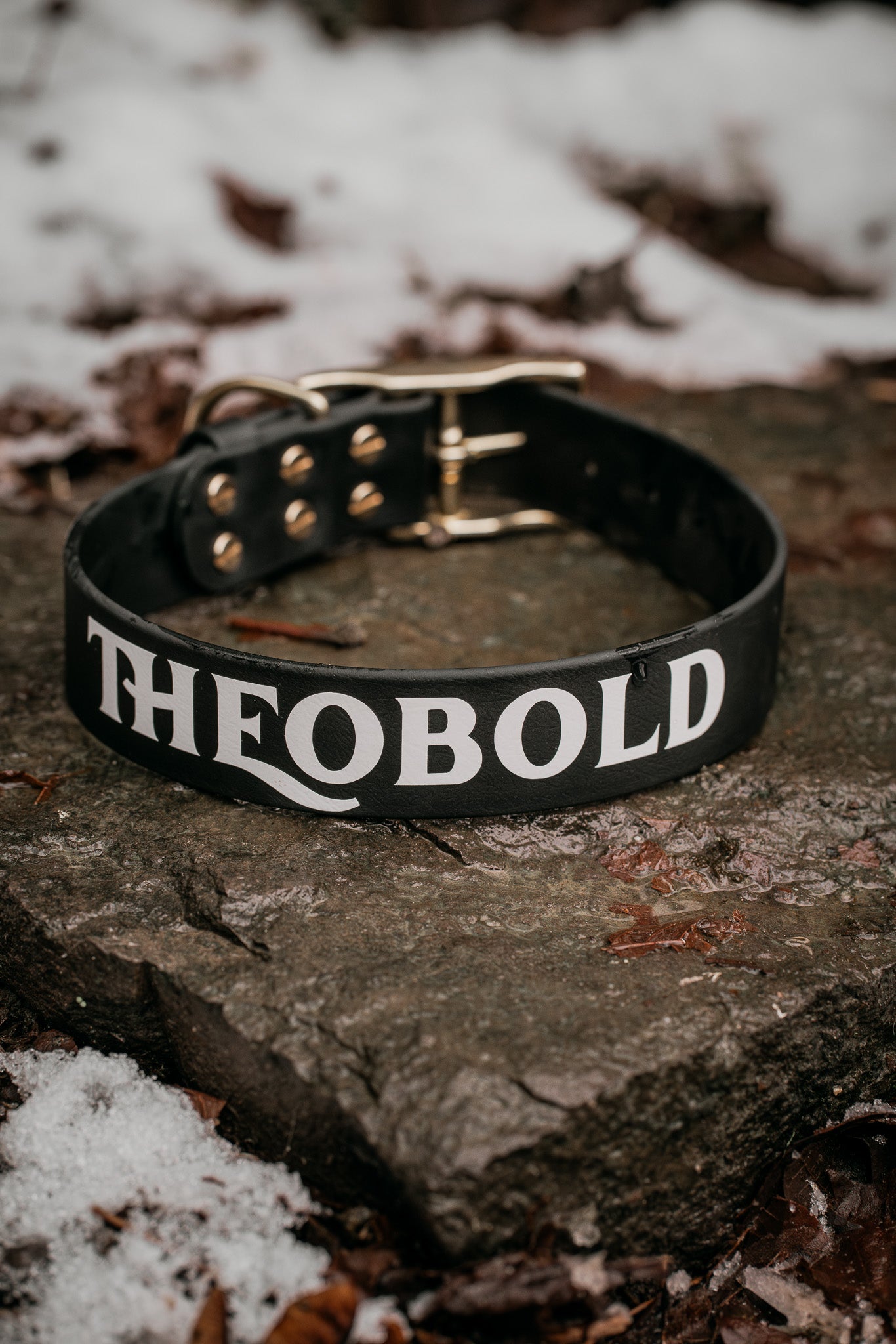 Voyager Extra Wide BioThane® collar on a stone surface, featuring durable hardware and stylish design in black.