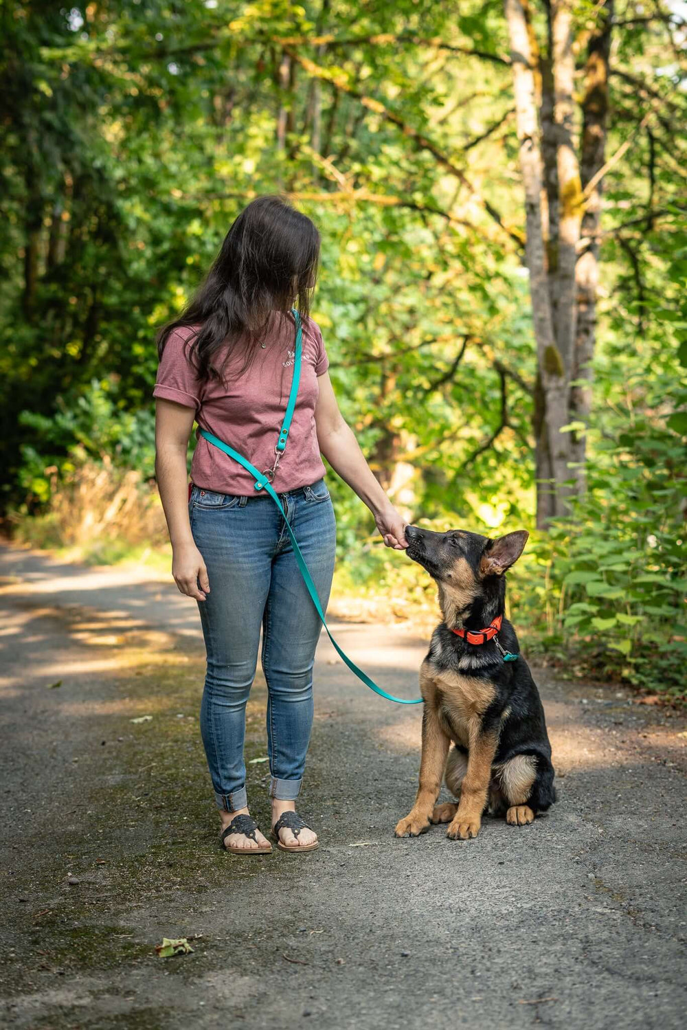 Puppy training with leash and tug toy