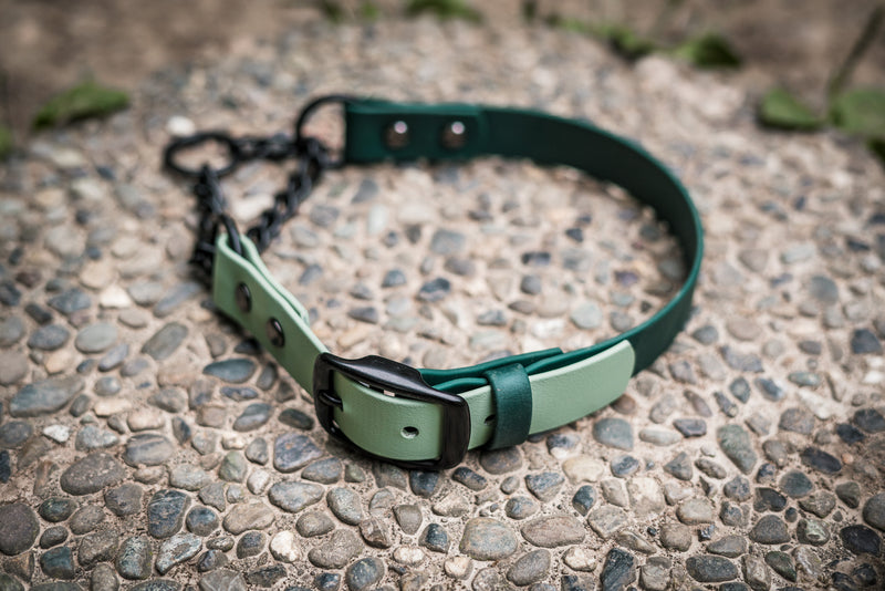 Bolder K9 BioThane dog gear