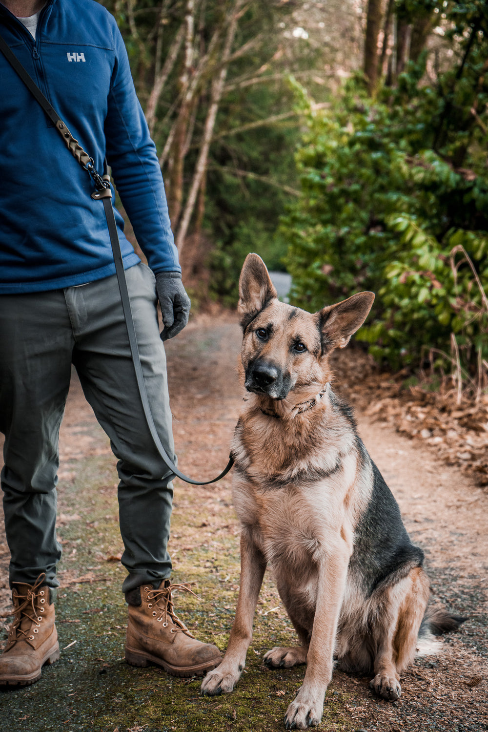 BioThane hands-free leash used on a walk