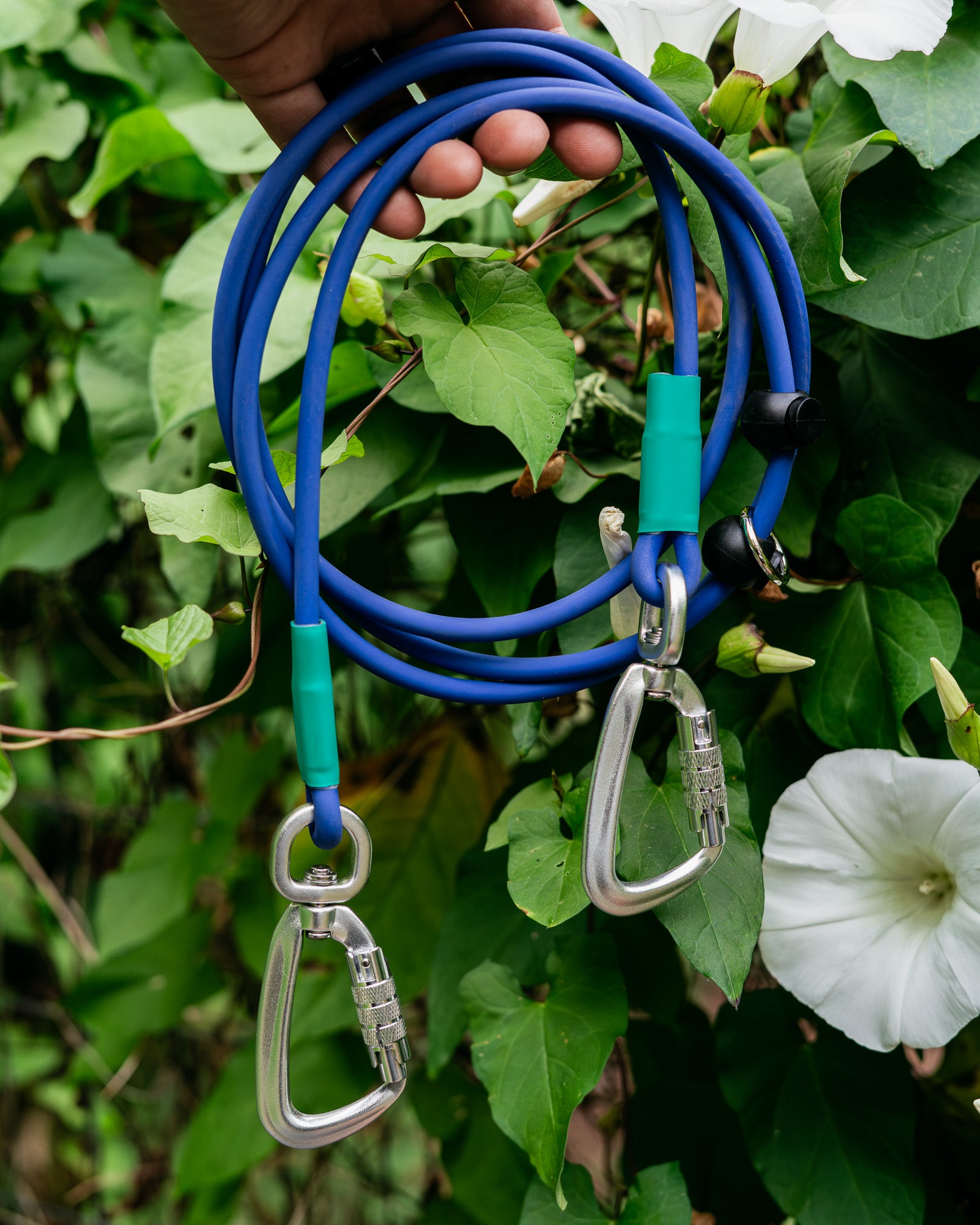 Hands-free BioThane® rope leash featuring carabiners, ideal for active dog owners, set against lush greenery.