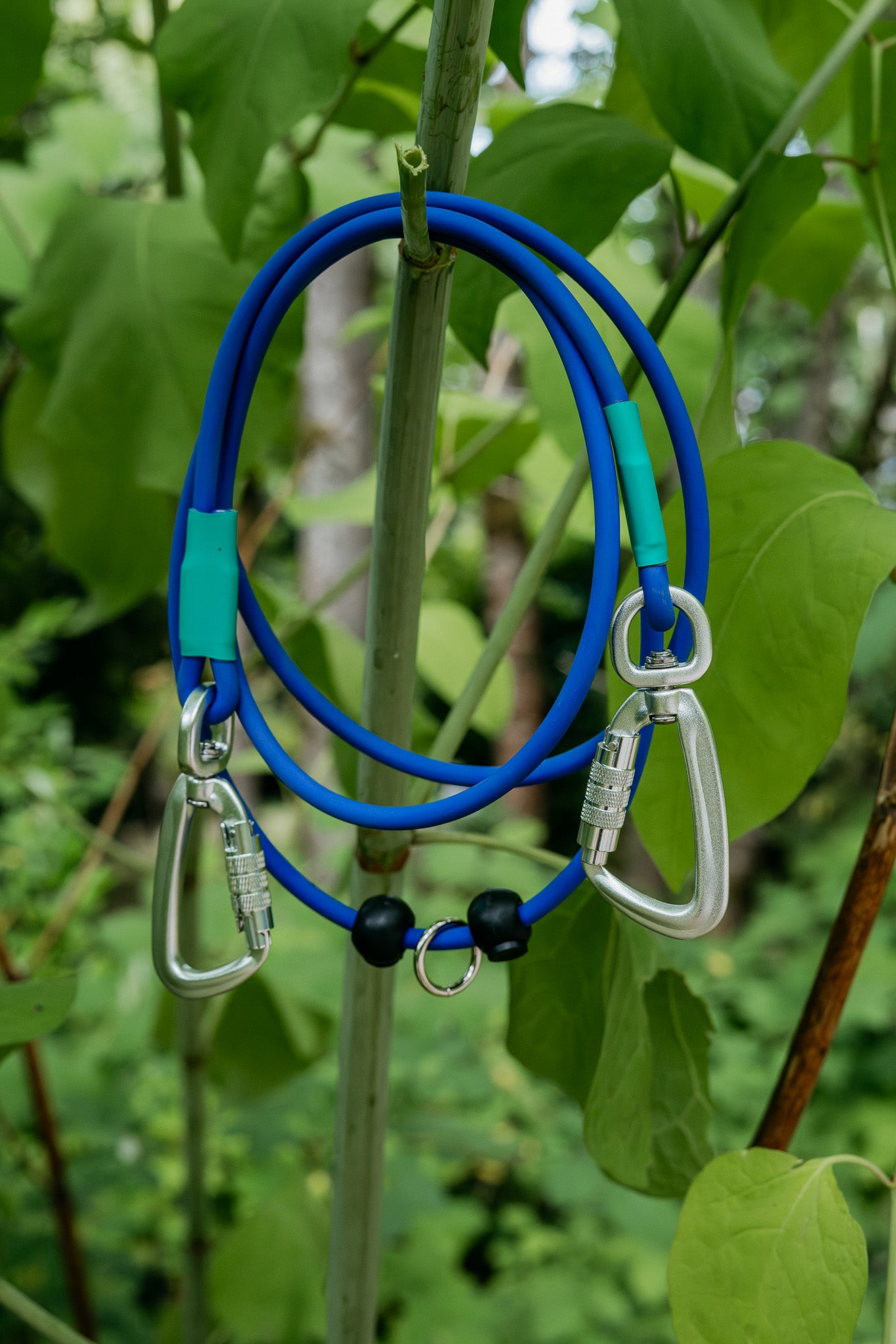 Blue BioThane® rope hands-free dog leash hanging among greenery, featuring durable clips and a lightweight design.
