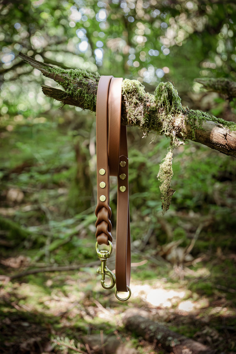 Trailblazer Leash