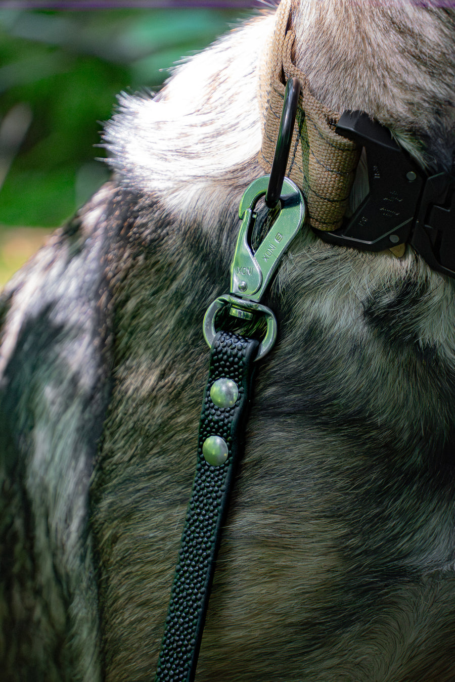Standard BioThane leash for a strong dog