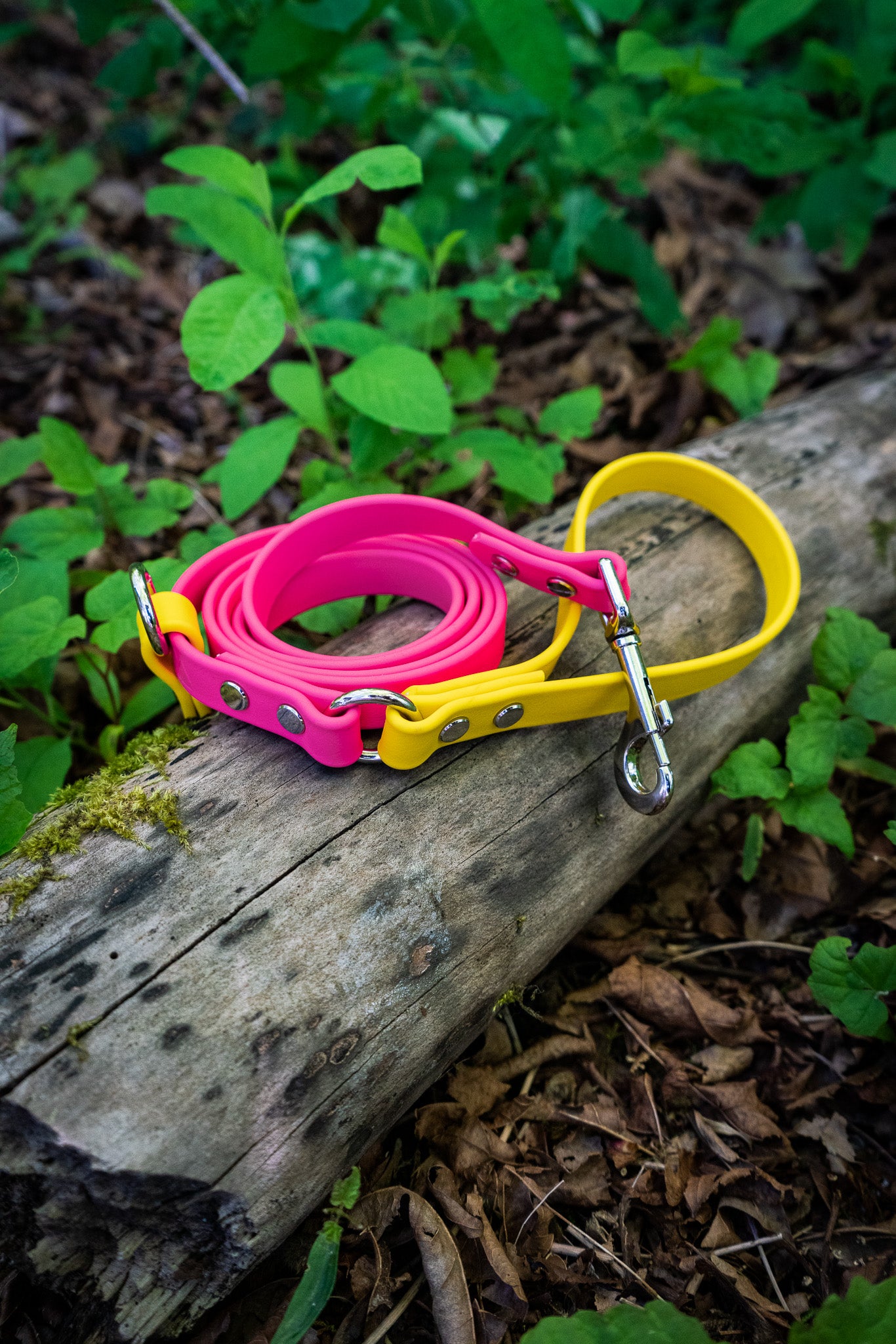 Voyager BioThane® Dog Leash with Slip Function