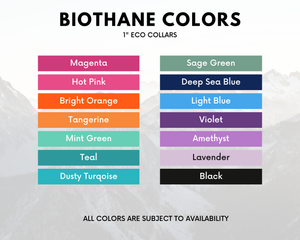 Image showing a variety of BioThane colors for 1" eco collars including Magenta, Sage Green, Black, and more.