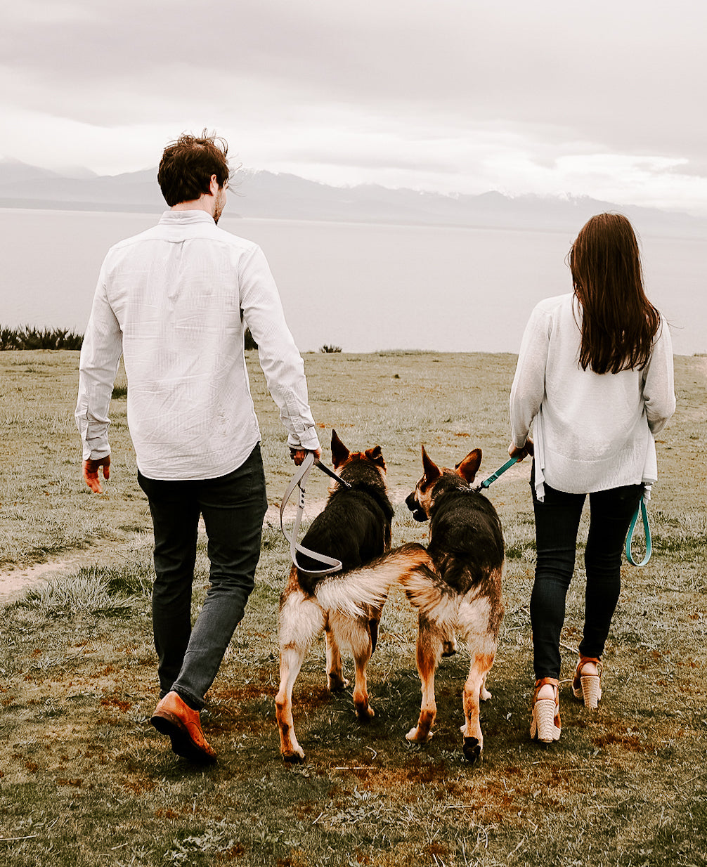 bolder k9 dog gear