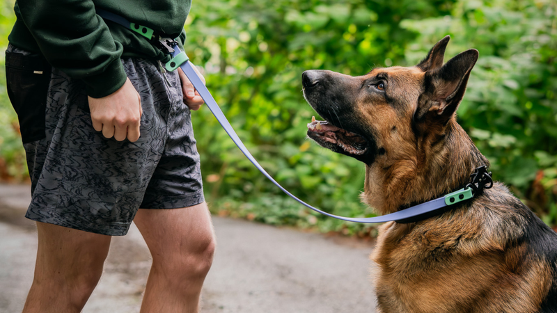 Shop Hands-Free Leashes