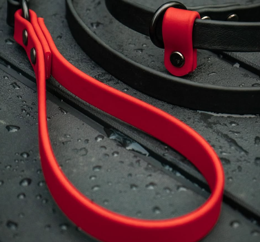 Bolder K9 BioThane leash and collar for active dogs