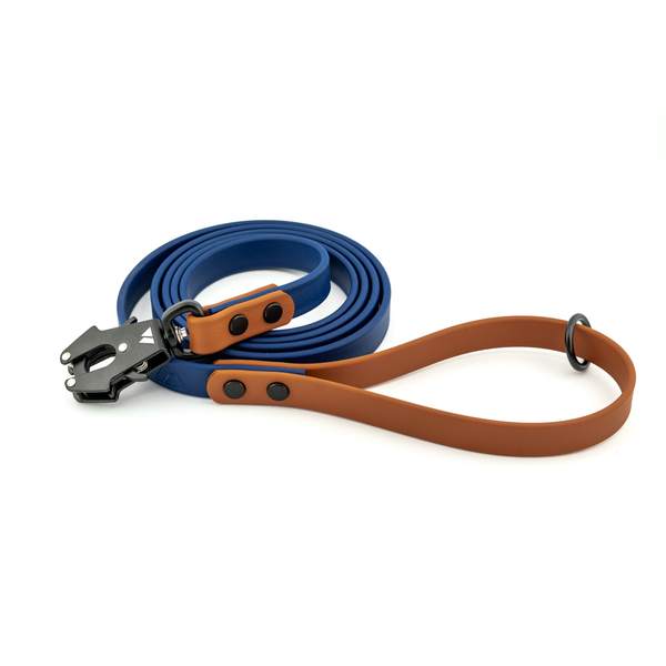 Atlas BioThane® Dog Leash