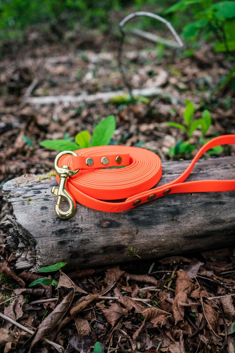 Bolder K9 BioThane leash collection