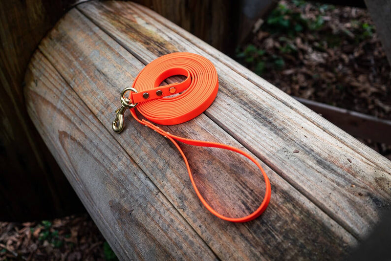 Bolder K9 BioThane leash collection