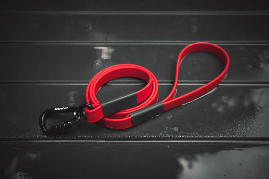 Bolder K9 standard BioThane dog leash for heavy pullers