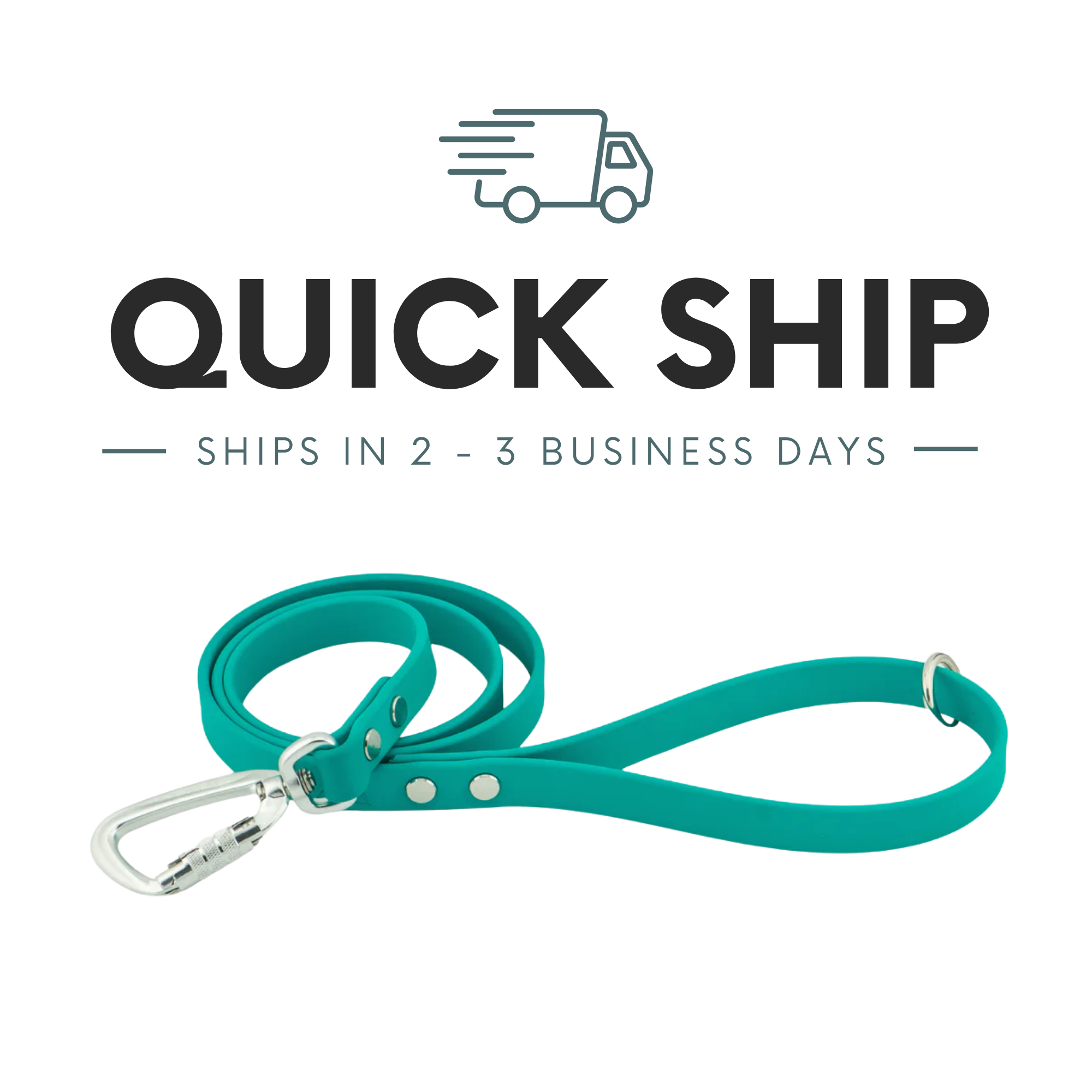 QUICK SHIP - Eco BioThane® Dog Leash