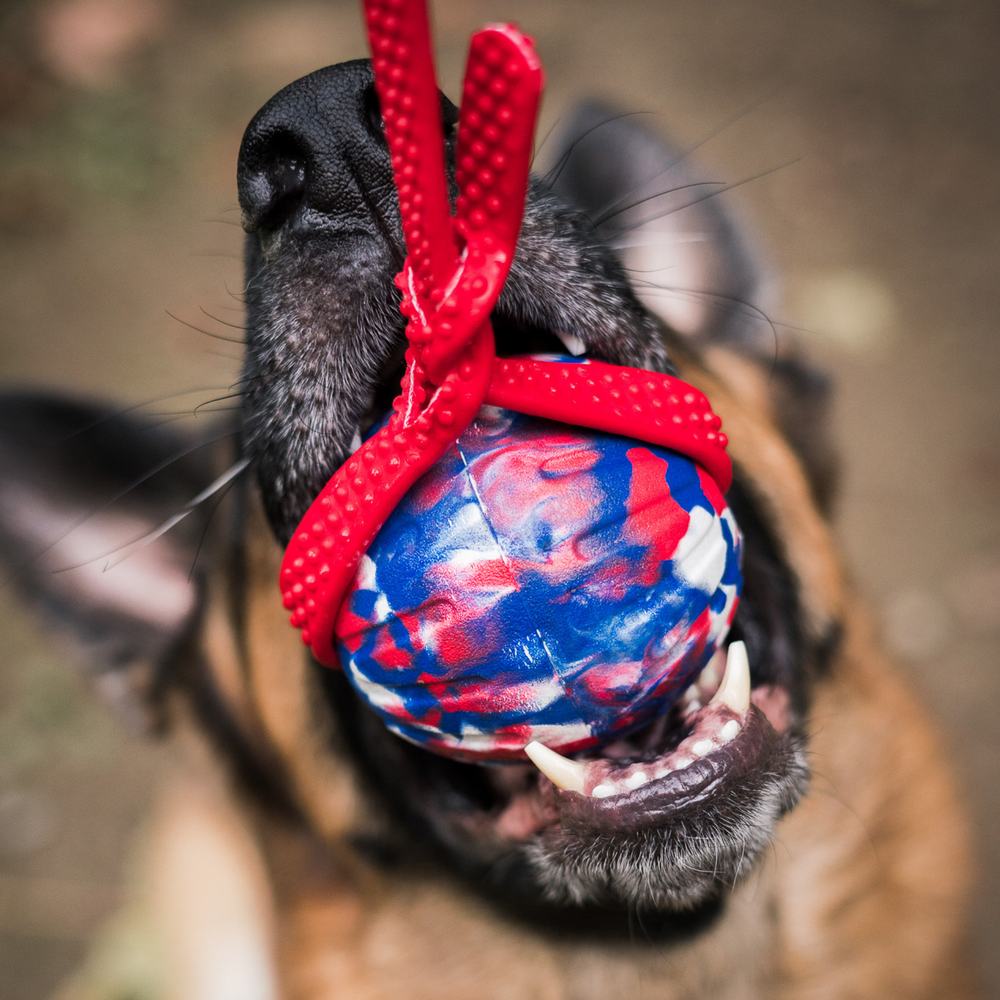 Bolder K9 dog training tug toy
