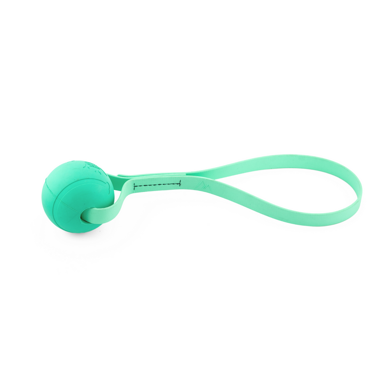 Voyager Sewn BioThane® Tug Toy