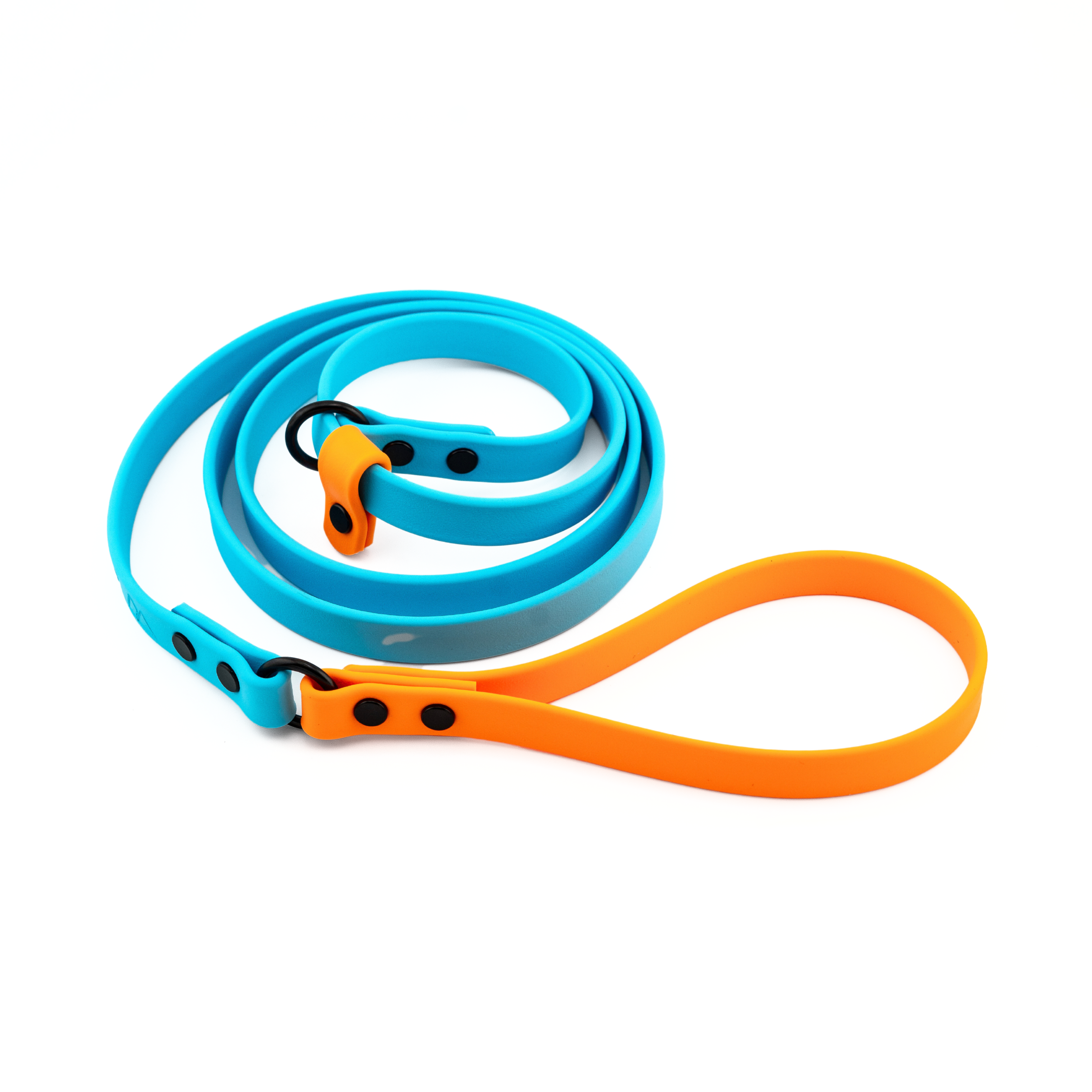 Voyager BioThane® Slip Leash