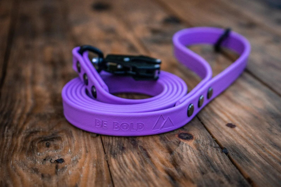 Bolder K9 standard BioThane dog leash for heavy pullers
